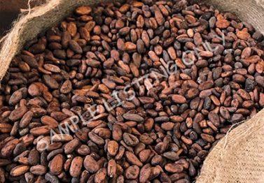 Zimbabwe Cocoa Beans
