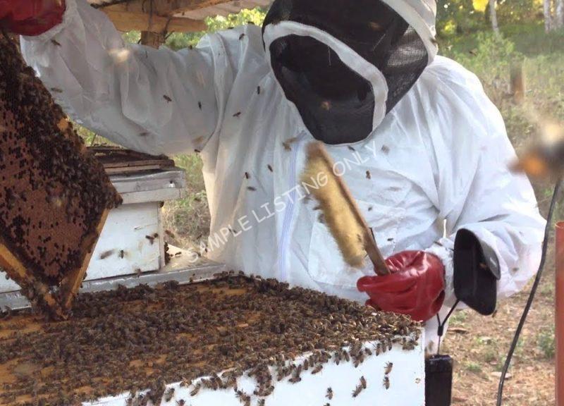 Sweet Zimbabwe Honey